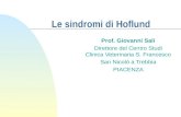 Le sindromi di Hoflund Prof. Giovanni Sali Direttore del Centro Studi Clinica Veterinaria S. Francesco San Nicolò a Trebbia PIACENZA.
