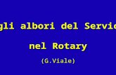 Agli albori del Service nel Rotary (G.Viale) Agli albori del Service nel Rotary (G.Viale)