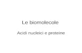Le biomolecole Acidi nucleici e proteine. I composti del carbonio o composti organici La diversità molecolare della vita è basata sulle proprietà del.