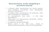 Neuroscienze, brain imagining e processo penale L’impatto delle neuroscienze sul diritto penale: sulle categorie concettuali, sulle metodologie punitive.