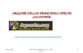 ORIGINE DELLE PRINCIPALI SPECIE COLTIVATE   14.04.20091Prof. Ermenegildo Ferrari - CIDI - Milano
