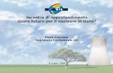 Incontro di approfondimento Quale futuro per il nucleare in Italia? Paolo Carcassi Segretario Confederale UIL 3 Luglio 2009.