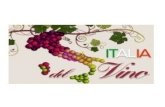 In Italia per quanto riguarda i vini abbiamo varie etichette; quelle più importanti sono:, DOC, DOCG, DOP, IGP, IGT E STG.