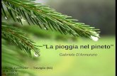 I.I.S. ’’G. CANTONI’’ – Treviglio (BG) IV A – IV E a.s. 2012-13 ''La pioggia nel pineto'' Gabriele D'Annunzio.