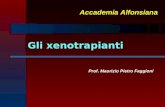 Gli xenotrapianti Prof. Maurizio Pietro Faggioni Accademia Alfonsiana.