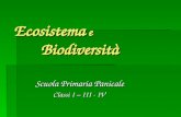 Ecosistema e Biodiversità Scuola Primaria Panicale Classi I – III - IV Classi I – III - IV.