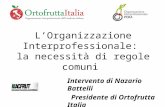 L’Organizzazione Interprofessionale: la necessità di regole comuni Intervento di Nazario Battelli Presidente di Ortofrutta Italia Presidente di Ortofrutta.