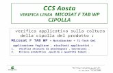 CCS Aosta VERIFICA LINEA MICOSAT F TAB WP CIPOLLA verifica applicativa sulla coltura della cipolla del prodotto : Micosat F TAB WP + Nutribacter + Ti-Tack.