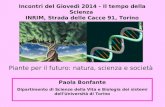 Piante per il futuro: natura, scienza e società Paola Bonfante Dipartimento di Scienze della Vita e Biologia dei sistemi dell'Università di Torino Incontri.