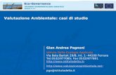 Valutazione Ambientale: casi di studio Gian Andrea Pagnoni Istituto Delta Ecologia Applicata Via Bela Bartok 29/B, int. 1- 44100 Ferrara Tel.0532/977085;