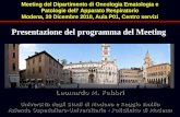 Leonardo M. Fabbri Università degli Studi di Modena e Reggio Emilia Azienda Ospedaliero-Universitaria - Policlinico di Modena Presentazione del programma.