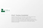 Prof. Tonino Cantelmi  Dirigente Responsabile Servizio Psichiatria- Istituto Regina Elena, Roma.  Professore di Psicopatologia, Università Gregoriana,