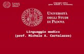 Linguaggio medico (prof. Michele A. Cortelazzo). Linguaggio medico (prof. Michele A. Cortelazzo) Il docente Michele Cortelazzo (Padova 1952) è Professore.