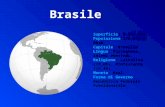 Superficie: 8.547.393 Popolazione:176.871.000ab Capitale: Brasilia Lingua: Portoghese, idiomi amerindi. Religione: Cattolica (73,6%), Protestante (15,4%).