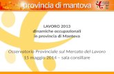 LAVORO 2013 dinamiche occupazionali in provincia di Mantova Osservatorio Provinciale sul Mercato del Lavoro 15 maggio 2014 – sala consiliare.