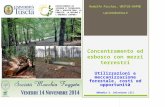 Concentramento ed esbosco con mezzi terrestri Utilizzazioni e meccanizzazione forestale, costi ed opportunità Abbadia S. Salvatore (SI) Rodolfo Picchio,