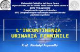 L’INCONTINENZA URINARIA FEMMINILE Università Cattolica del Sacro Cuore Dipartimento per la Tutela della Salute della Donna e della Vita Nascente Complesso.