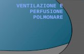 La ventilazione polmonare è data dal volume di aria che complessivamente entra ed esce dal polmone nell'unità di tempo VC x FR = V min Ventilazione.