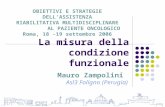 La misura della condizione funzionale Mauro Zampolini Asl3 Foligno (Perugia) OBIETTIVI E STRATEGIE DELL’ASSISTENZA RIABILITATIVA MULTIDISCIPLINARE AL PAZIENTE.