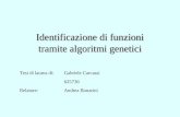 Identificazione di funzioni tramite algoritmi genetici Tesi di laurea di: Relatore: Gabriele Carcassi 625736 Andrea Bonarini.