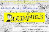 Modelli elettrici del neurone Prima parte: Modello elettrico della membrana citoplasmatica a cura di Aldo Ferraresi Università degli Studi di Perugia –