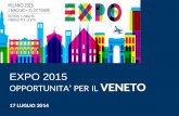 EXPO 2015 OPPORTUNITA’ PER IL VENETO 17 LUGLIO 2014.