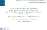 Torino, 11 settembre 2014 Valutazione Ambientale Strategia del Programma Operativo Regionale del Fondo Europeo per lo Sviluppo Regionale 2014 - 2020 Il.