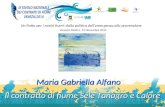Un Patto per i nostri fiumi: dalla politica dell’emergenza alla prevenzione Venezia Mestre, 19 Novembre 2014 Maria Gabriella Alfano Il contratto di fiume.