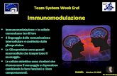Dr W.Amzallag Jesolo Ottobre 25 2008 5 Team System Week End Immunomodulazione Immunomodulazione = le cellule comunicano tra di loro Il linguaggio della.
