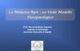 Le Malattie Rare : un Utile Modello Fisiopatologico Prof. Giovambattista Capasso Cattedra di Nefrologia Seconda Università di Napoli.