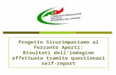 Progetto Sicurimpariamo al Ferrante Aporti: Risultati dell’indagine effettuata tramite questionari self-report 1.
