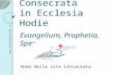 Vita Consecrata in Ecclesia Hodie Evangelium, Prophetia, Spes Anno della vita Consacrata .