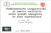 Problematiche Linguistiche in ambito sanitario nelle grandi emergenze in area ospedaliera a cura di: Laura Mugnai a.a. 2013-2014.
