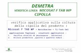 DEMETRA VERIFICA LINEA MICOSAT F TAB WP CIPOLLA verifica applicativa sulla coltura della cipolla del prodotto : Micosat F TAB WP + Nutribacter + Ti-Tack.