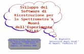 Sviluppo del Software di Ricostruzione per lo Spettrometro a Muoni dell’Esperimento ATLAS M. Biglietti Università degli Studi di Napoli “Federico II” Seminario.
