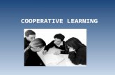 COOPERATIVE LEARNING. ….alcuni autori " E' un insieme di tecniche di classe nelle quali gli studenti lavorano in piccoli gruppi per attività di apprendimento.