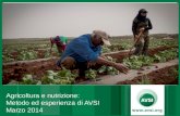 Agricoltura e nutrizione: Metodo ed esperienza di AVSI Marzo 2014.