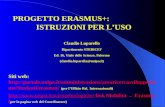 PROGETTO ERASMUS+: ISTRUZIONI PER L’USO Claudio Luparello Dipartimento STEBICEF Ed. 16, Viale delle Scienze, Palermo (claudio.luparello@unipa.it) Siti.