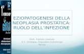 EZIOPATOGENESI DELLA NEOPLASIA PROSTATICA: RUOLO DELL’INFEZIONE Dott. Fabiola Liberale S.C. Urologia, Ospedale Cottolengo Torino.