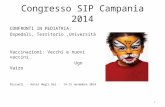 Congresso SIP Campania 2014 CONFRONTI IN PEDIATRIA: Ospedali, Territorio,Università Vaccinazioni: Vecchi e nuovi vaccini Ugo Vairo Pozzuoli - Hotel degli.