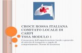 CROCE ROSSA ITALIANA COMITATO LOCALE DI CARPI TSSA MODULO 1 Conoscenza dell’organizzazione locale e generale di attività di trasporto e regole di comportamento.Norme.