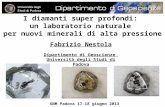 I diamanti super profondi: un laboratorio naturale per nuovi minerali di alta pressione Fabrizio Nestola Dipartimento di Geoscienze Università degli Studi.