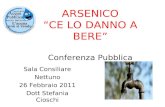 ARSENICO “CE LO DANNO A BERE” Conferenza Pubblica Sala Consiliare Nettuno 26 Febbraio 2011 Dott Stefania Cioschi.