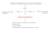 Reazioni metaboliche che utilizzano l’ossigeno ROS Stress ossidativo Sistema di difese endogeno Sistema di difese esogeno Danni cellulari e subcellulari.