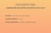 ISTITUTO COMPRENSIVO “G.MARITI” Corso della Repubblica, 125 – Fauglia (PI) LABORATORI DEI SAPERI SCIENTIFICI 2013-2014 SCUOLA : Secondaria 1° grado di.