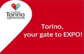 Torino, your gate to EXPO!. Mercati target MERCATI PRIORITARIMERCATI COMPLEMENTARI MERCATI EMERGENTI ItaliaUsaTurchia FranciaEuropa dell’EstCina Regno.