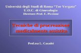 Università degli Studi di Roma “Tor Vergata” U.O.C. di Ginecologia Direttore Prof. E. Piccione Prof.ssa L. Casadei Tecniche di procreazione medicalmente.