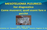 Dott. Paolo Irico Dipartimento di “Diagnostica per Immagini” Ospedale Maggiore di Novara.