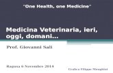 Medicina Veterinaria, ieri, oggi, domani… Prof. Giovanni Sali Ragusa 6 Novembre 2014 “ One Health, one Medicine ” Grafica Filippo Menghini.