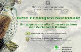 Rete Ecologica Nazionale Un approccio alla Conservazione dei Vertebrati Italiani Rete Ecologica Nazionale Un approccio alla Conservazione dei Vertebrati.